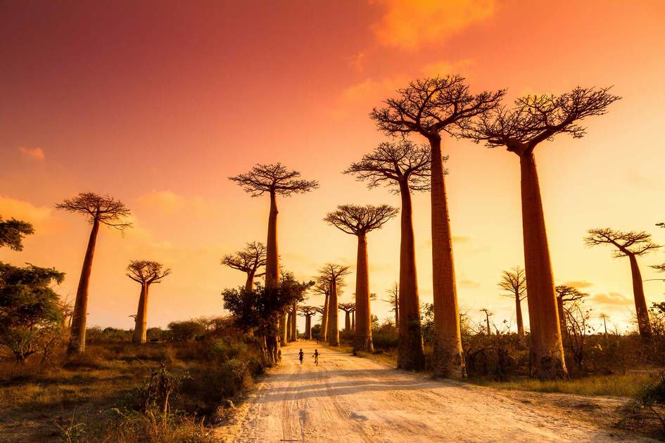 Morondava